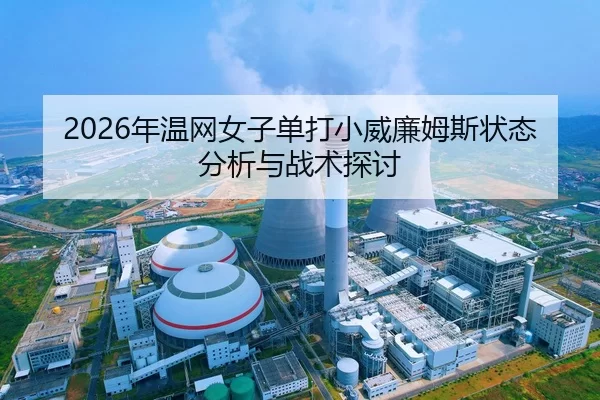 nian-wen-wang-nv-zi-dan-da-xiao-wei-lian-mu-si-zhuang-tai-fen-xi-yu-zhan-shu-tan-tao-2-520.jpg