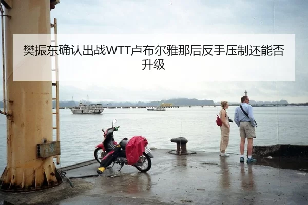 樊振东确认出战WTT卢布尔雅那后反手压制还能否升级