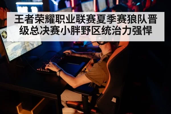 王者荣耀职业联赛夏季赛狼队晋级总决赛小胖野区统治力强悍