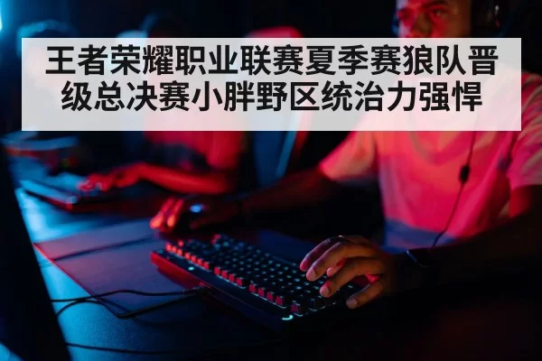 professional gamer