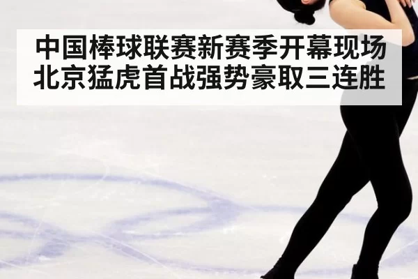 中国棒球联赛新赛季开幕现场 北京猛虎首战强势豪取三连胜